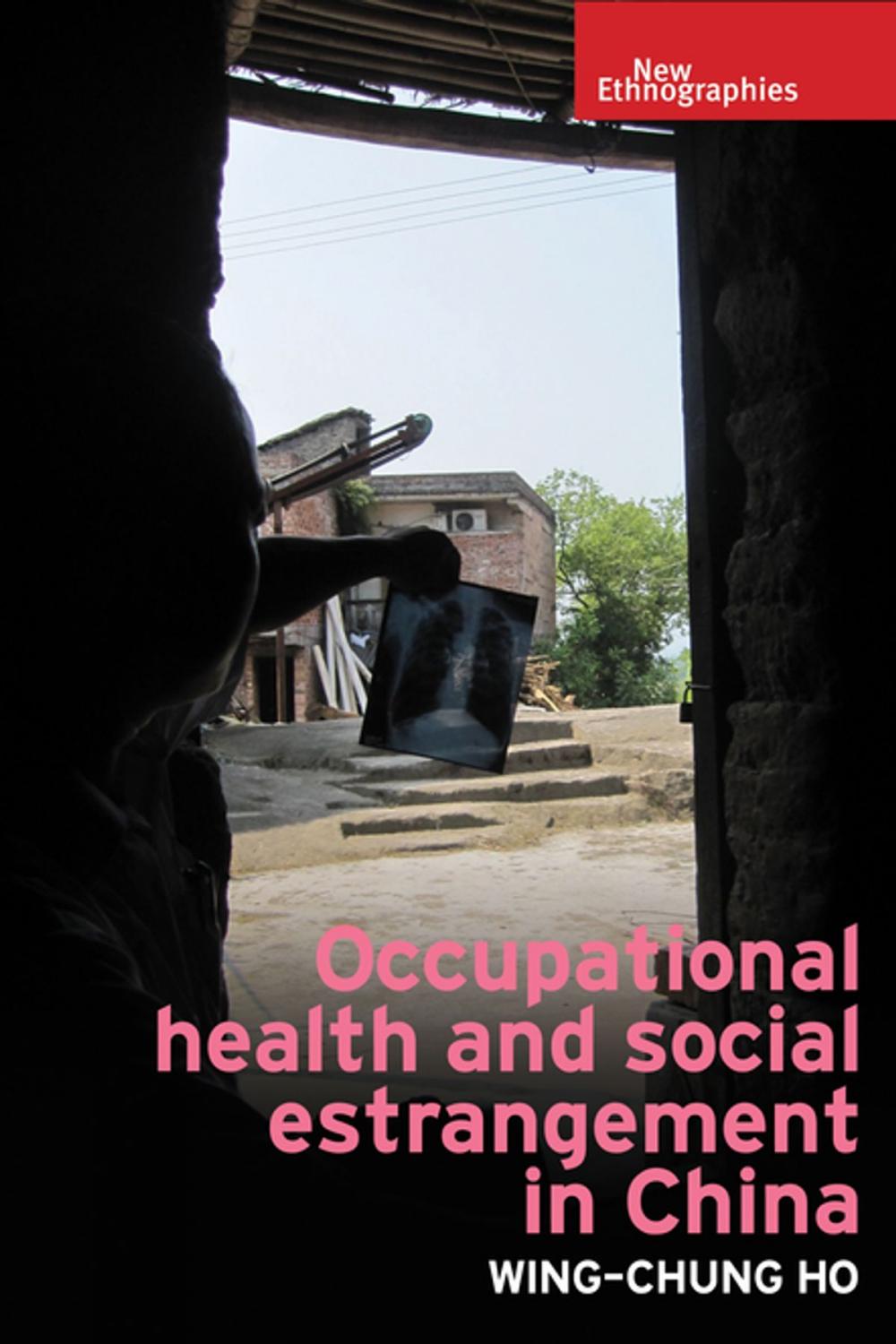 Big bigCover of Occupational health and social estrangement in China