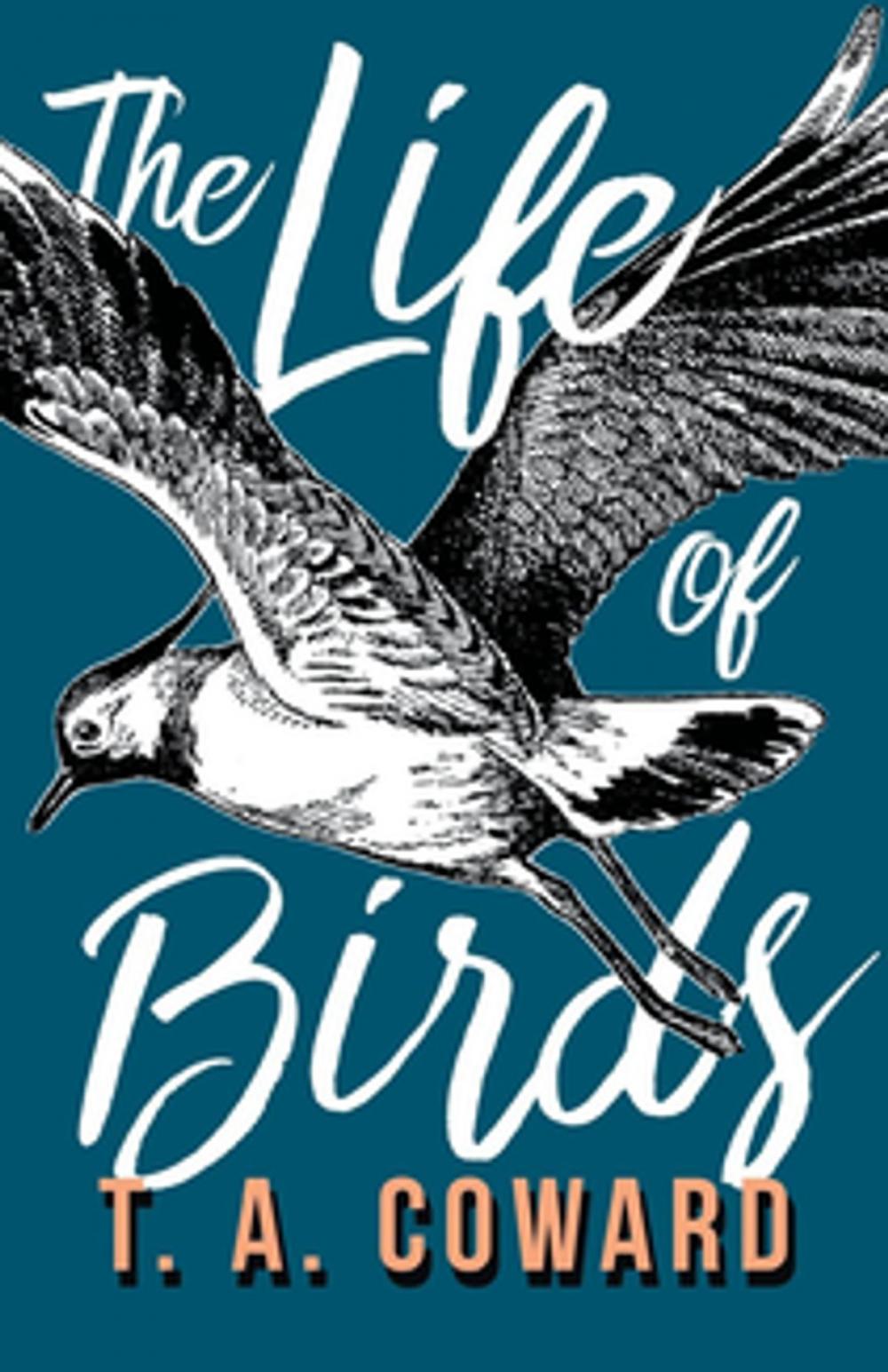 Big bigCover of The Life of Birds