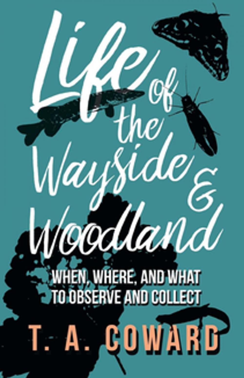 Big bigCover of Life of the Wayside and Woodland - When, Where, and What to Observe and Collect