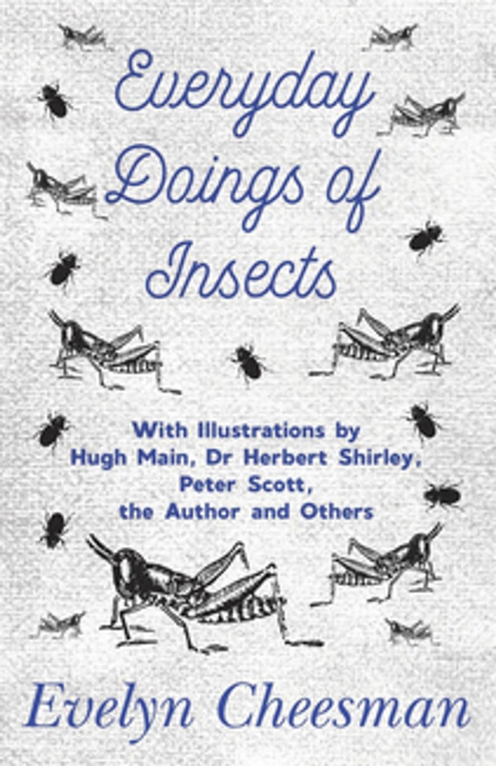 Big bigCover of Everyday Doings of Insects - With Illustrations by Hugh Main, Dr Herbert Shirley, Peter Scott, the Author and Others