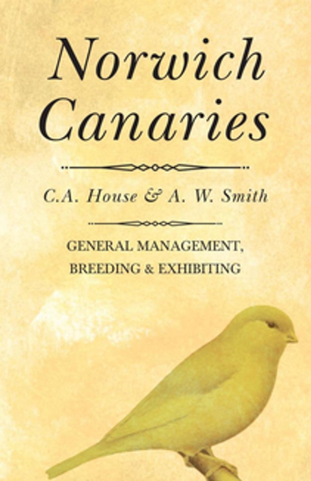 Big bigCover of Norwich Canaries