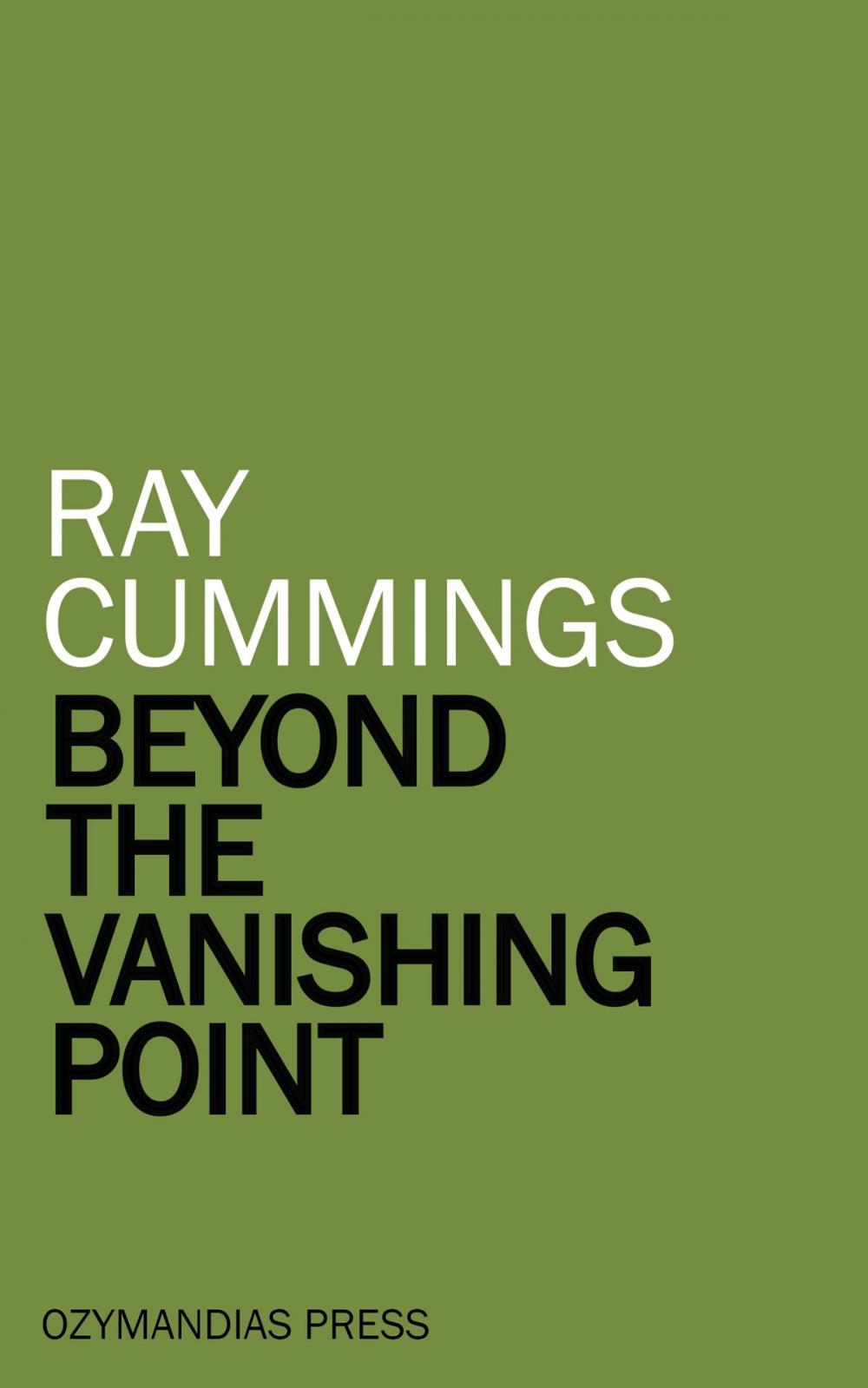 Big bigCover of Beyond the Vanishing Point