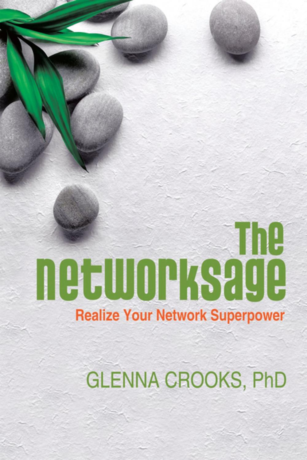 Big bigCover of The Networksage