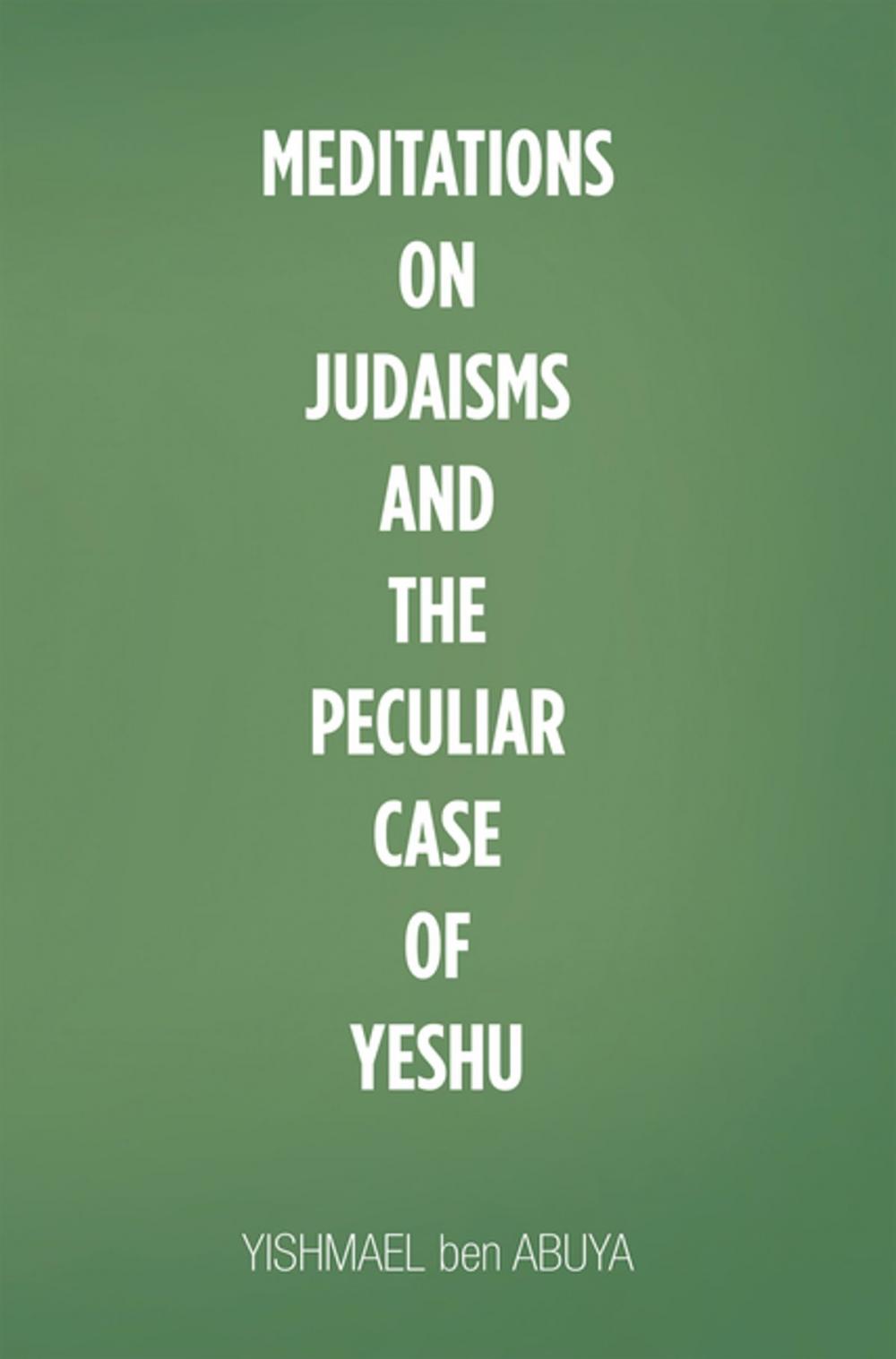 Big bigCover of Meditations on Judaisms and the Peculiar Case of Yeshu