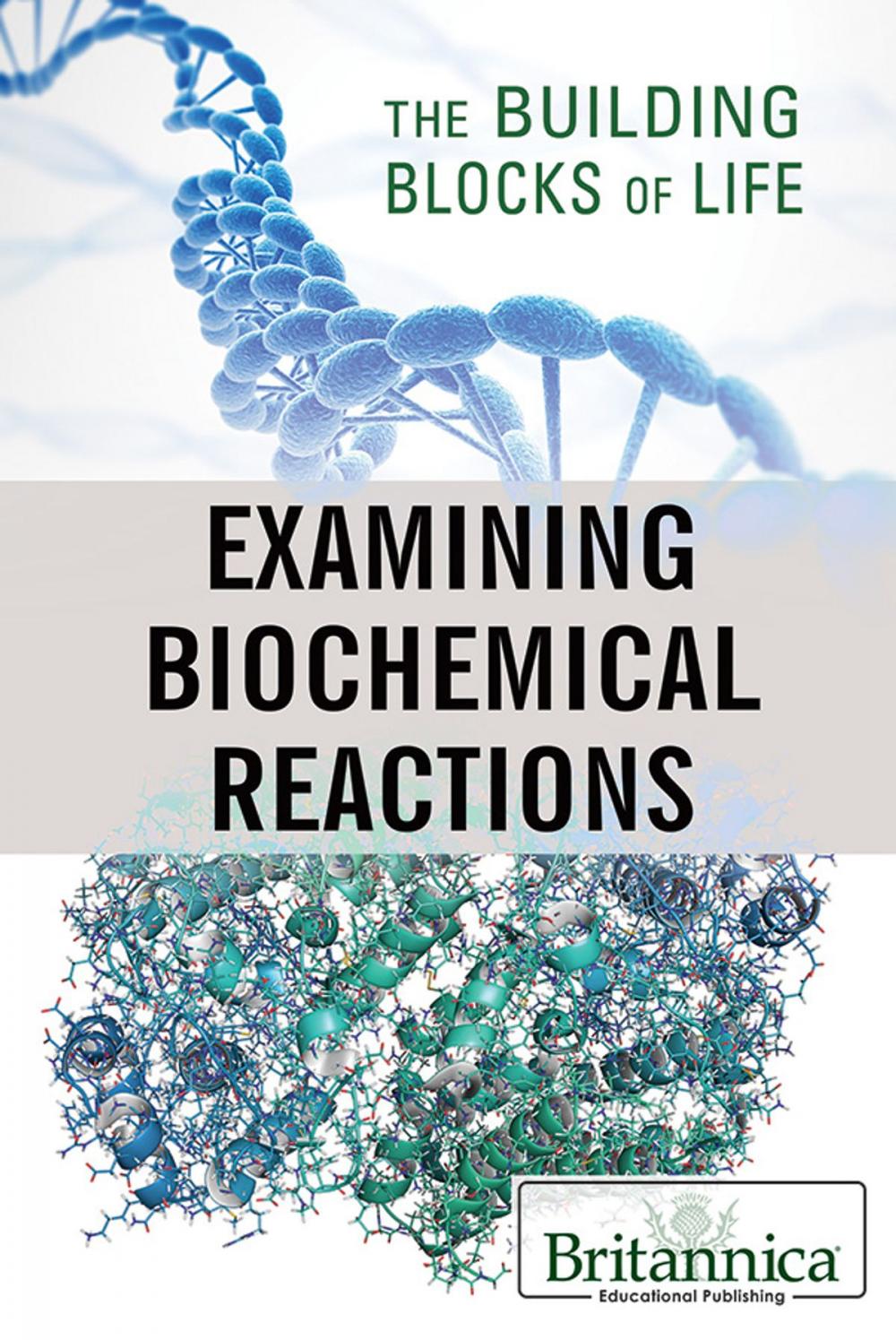 Big bigCover of Examining Biochemical Reactions