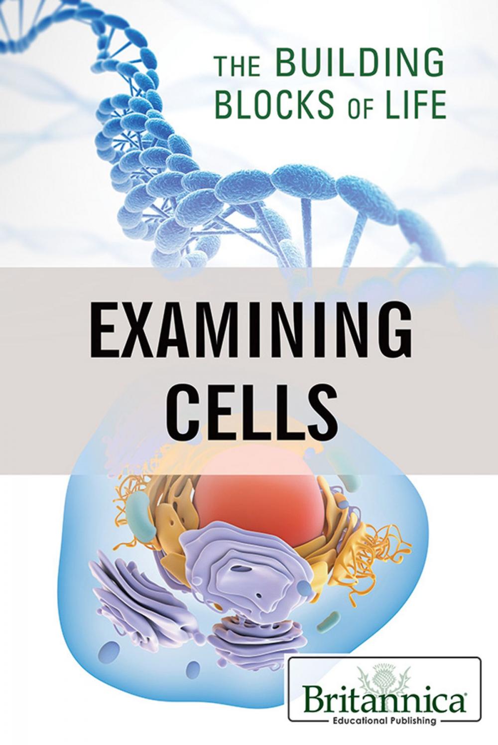 Big bigCover of Examining Cells