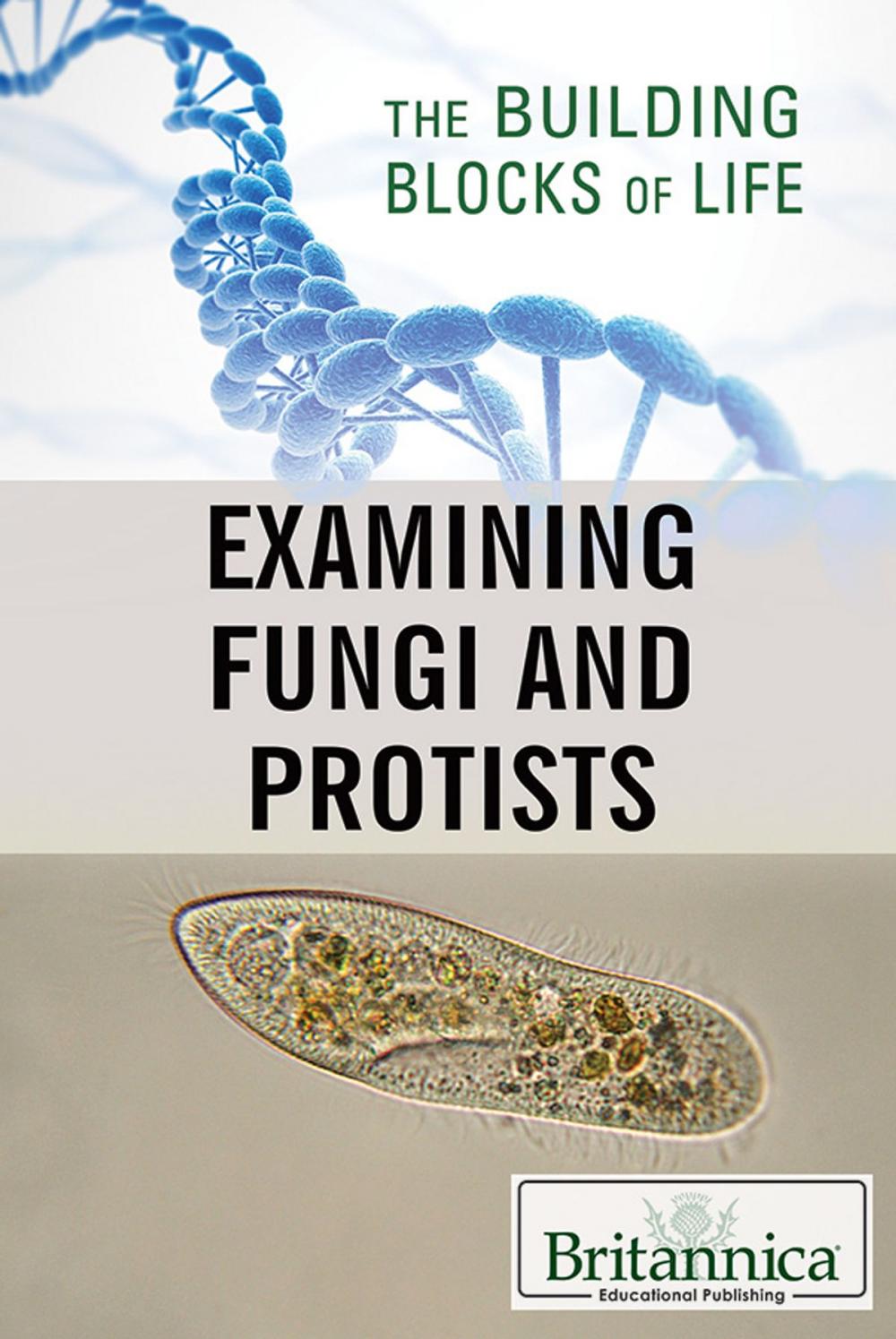 Big bigCover of Examining Fungi and Protists