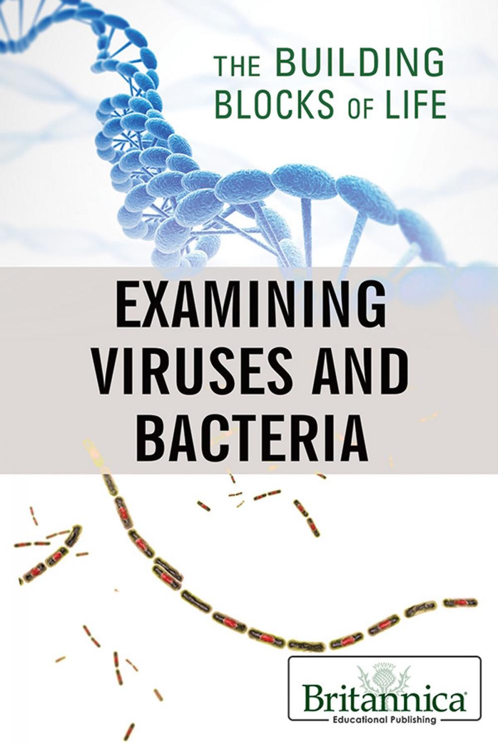 Big bigCover of Examining Viruses and Bacteria