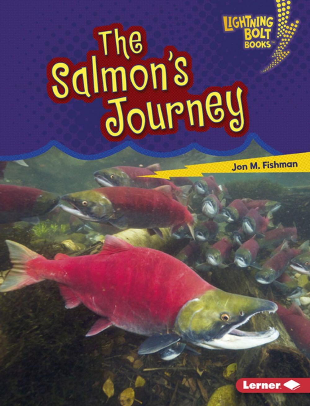 Big bigCover of The Salmon's Journey