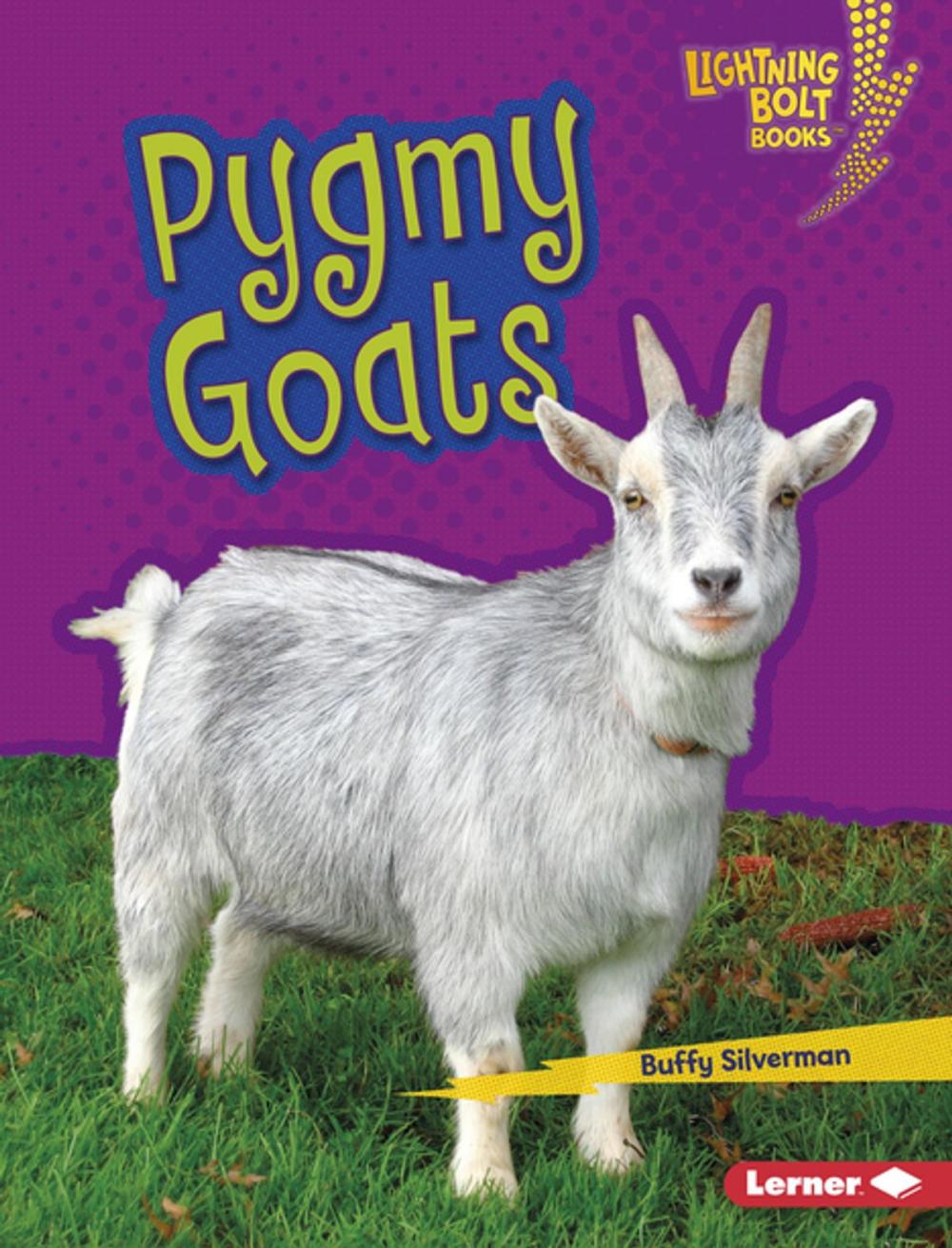 Big bigCover of Pygmy Goats