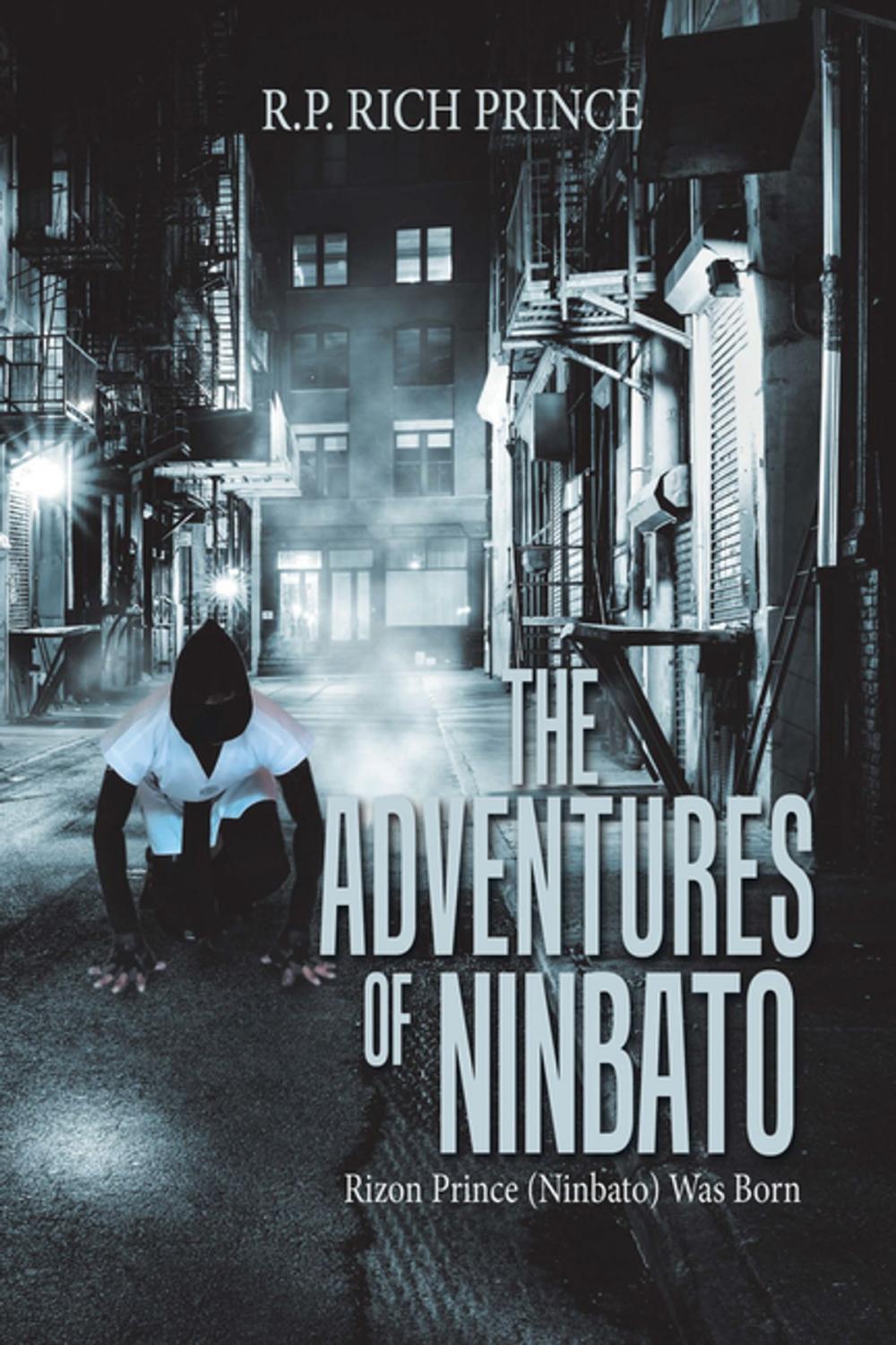 Big bigCover of The Adventures of Ninbato