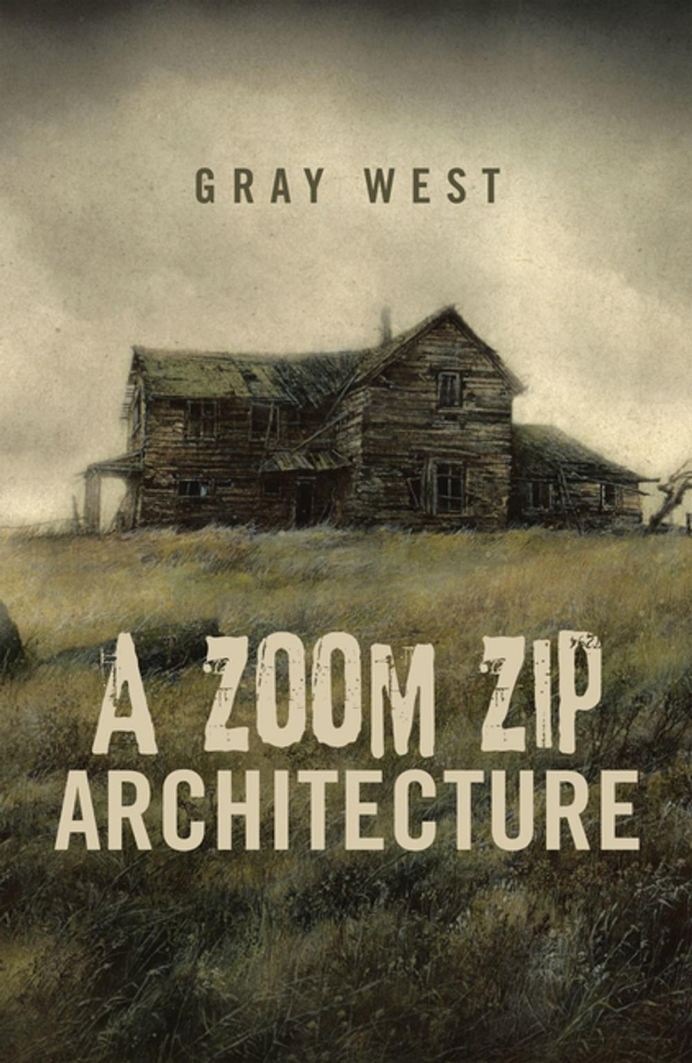 Big bigCover of A Zoom Zip Architecture