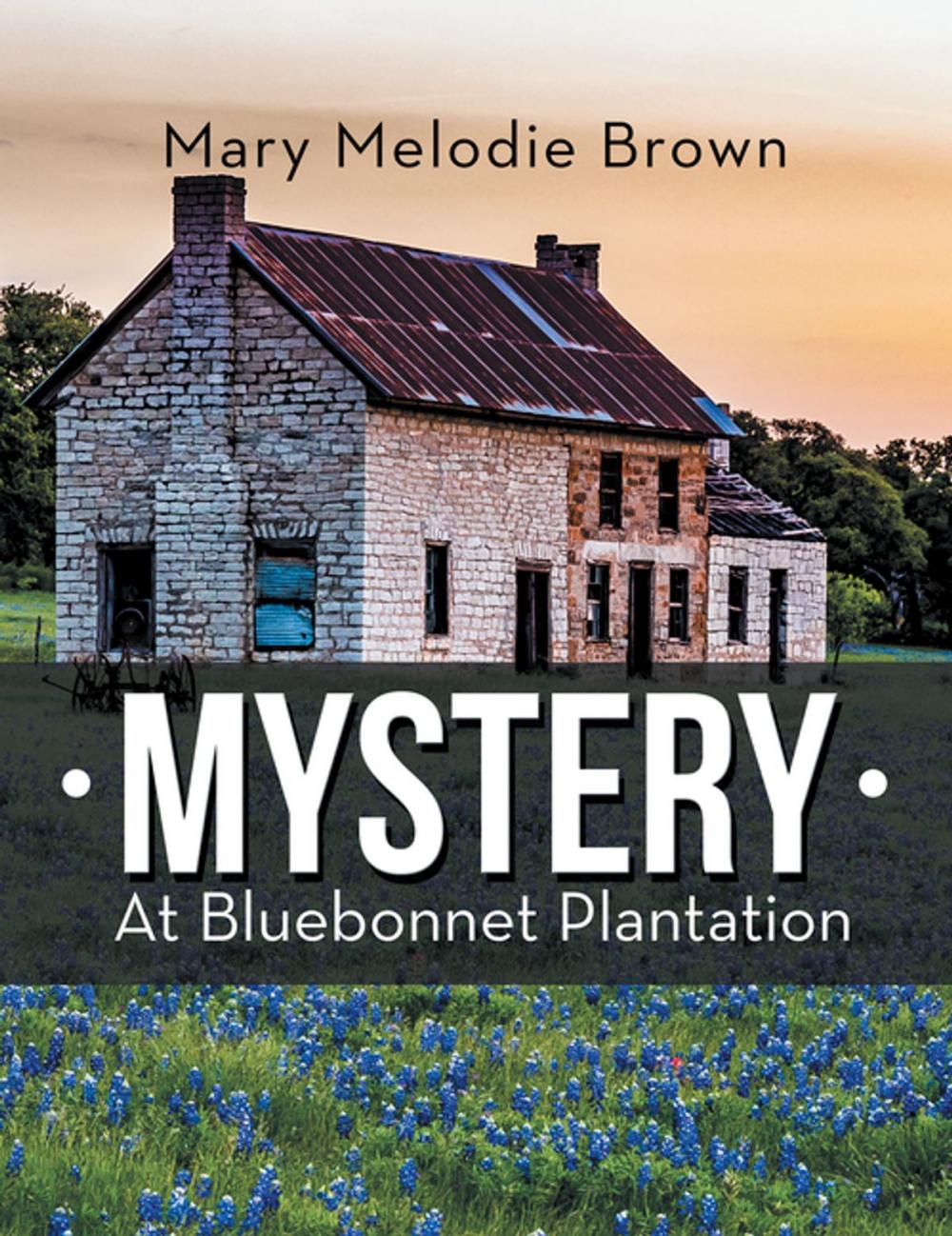 Big bigCover of Mystery at Bluebonnet Plantation