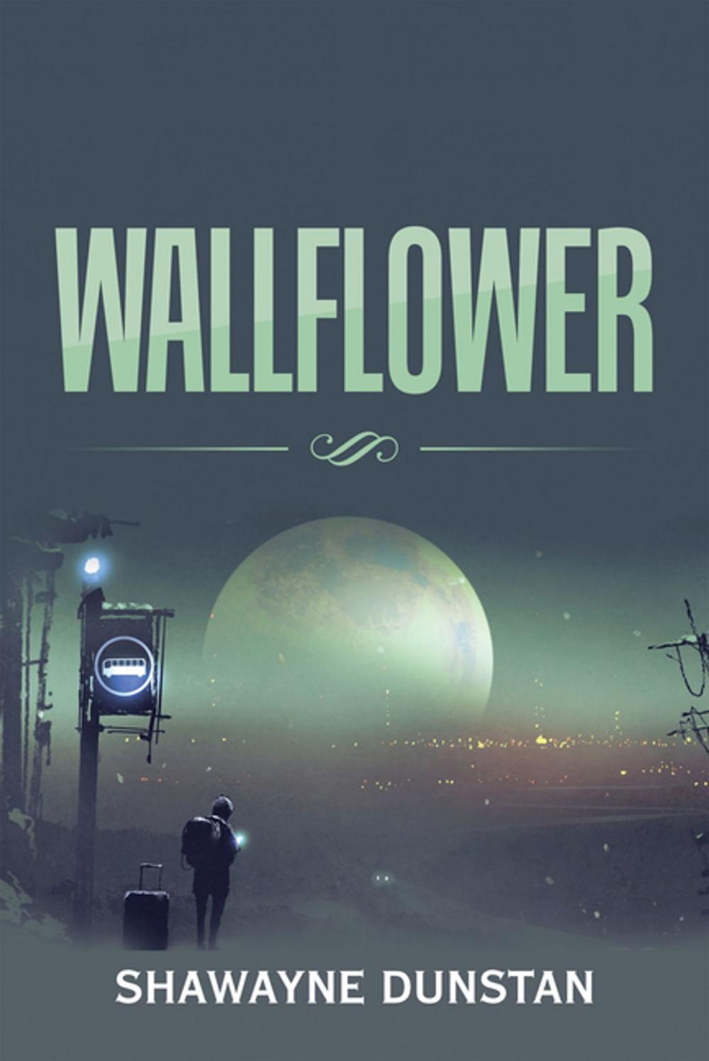 Big bigCover of Wallflower