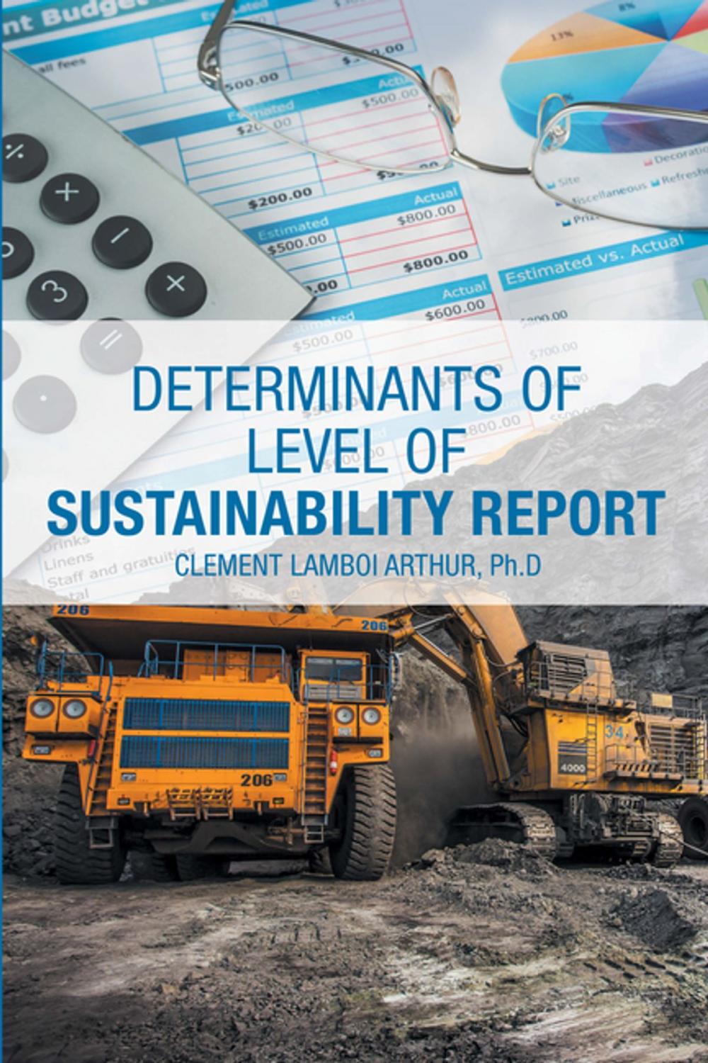 Big bigCover of Determinants of Level of Sustainability Report