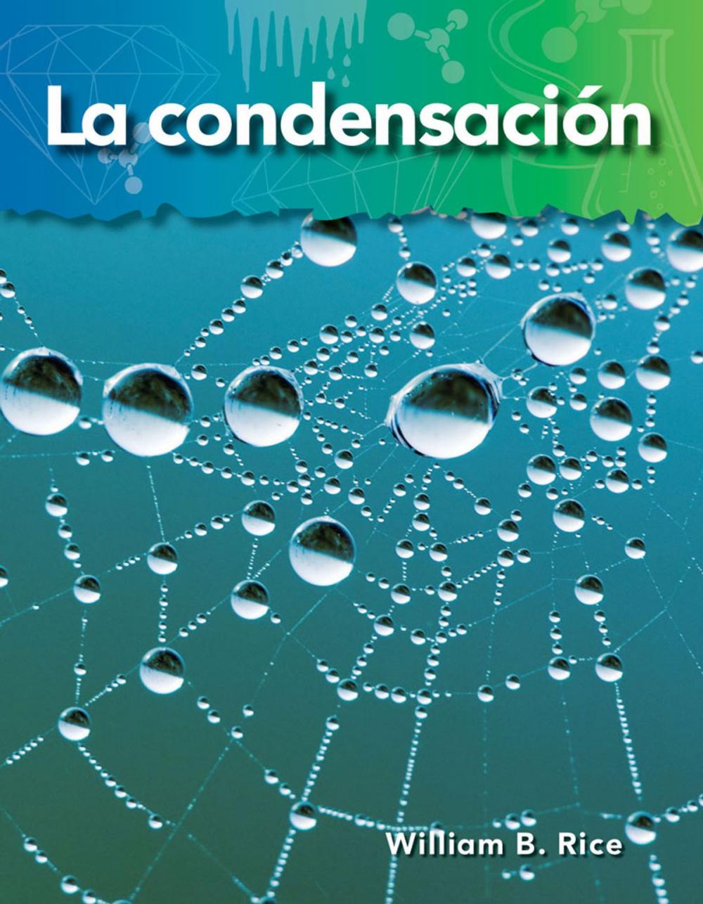 Big bigCover of La condensación