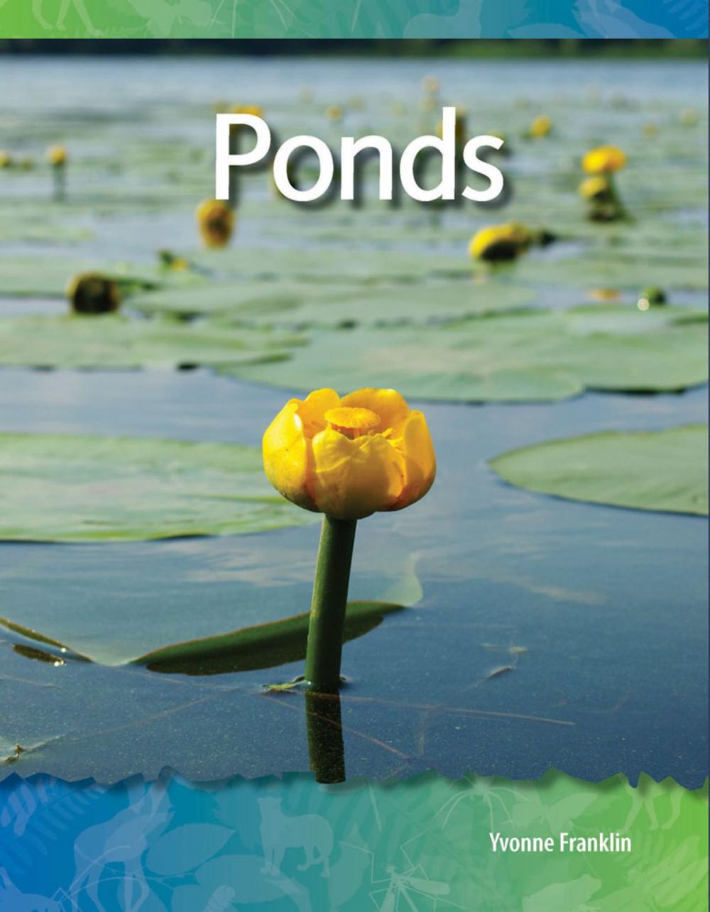 Big bigCover of Ponds