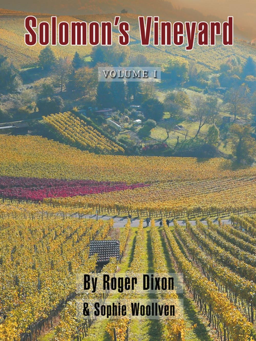 Big bigCover of Solomon’S Vineyard