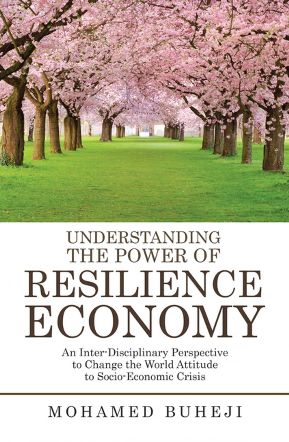 Big bigCover of Understanding the Power of Resilience Economy