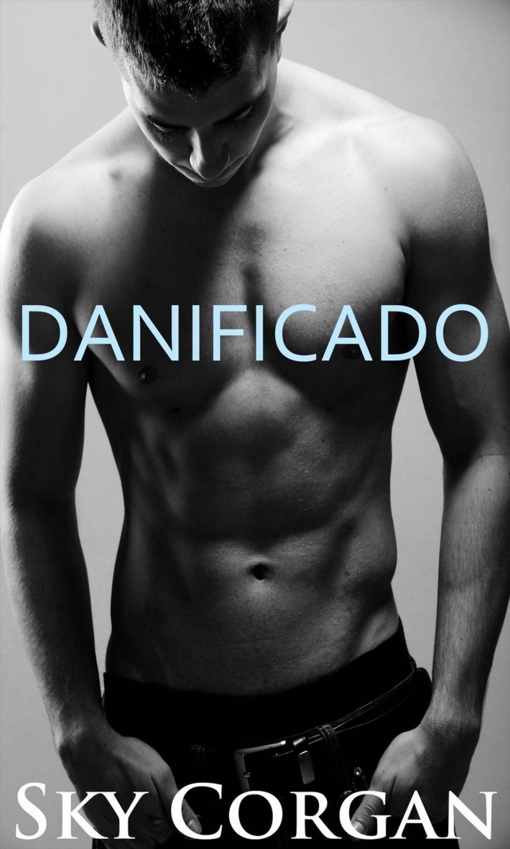 Big bigCover of Danificado