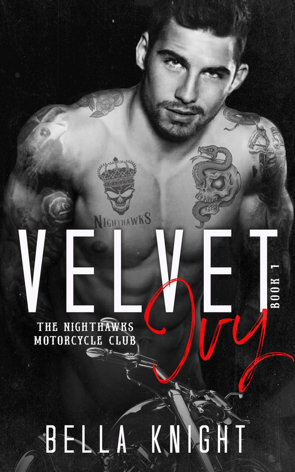 Big bigCover of Velvet Ivy: A Motorcycle Bad Boy Romance (The Nighthawks MC Book 1)