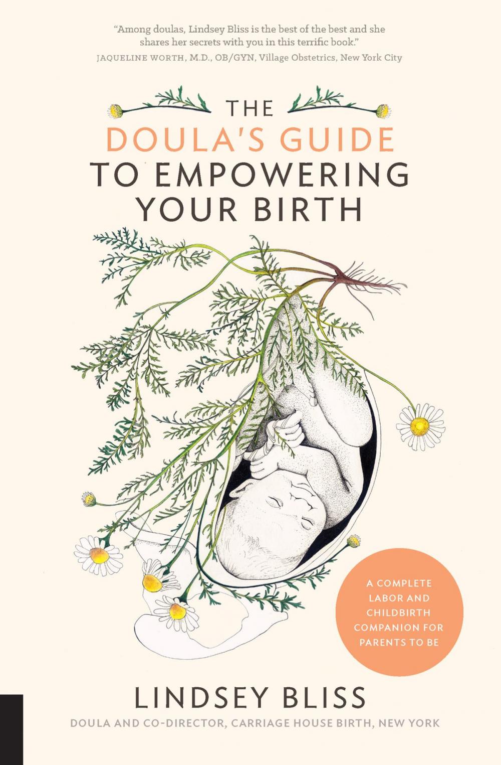 Big bigCover of The Doula's Guide to Empowering Your Birth