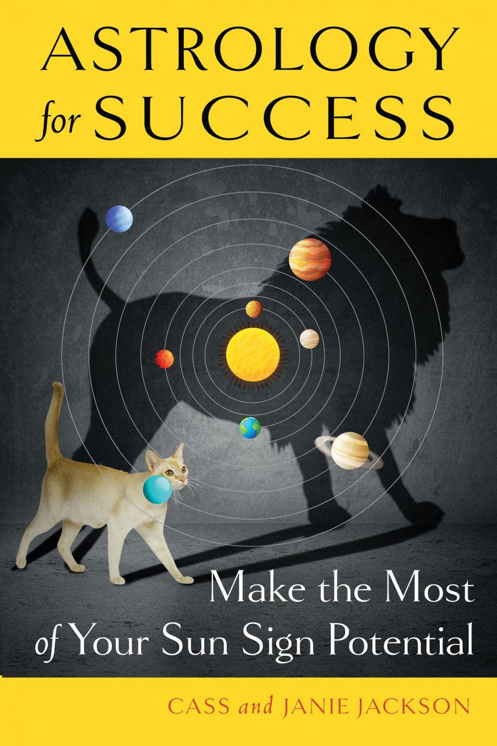 Big bigCover of Astrology for Success