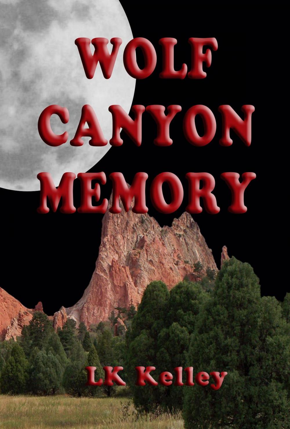 Big bigCover of Wolf Canyon Memory