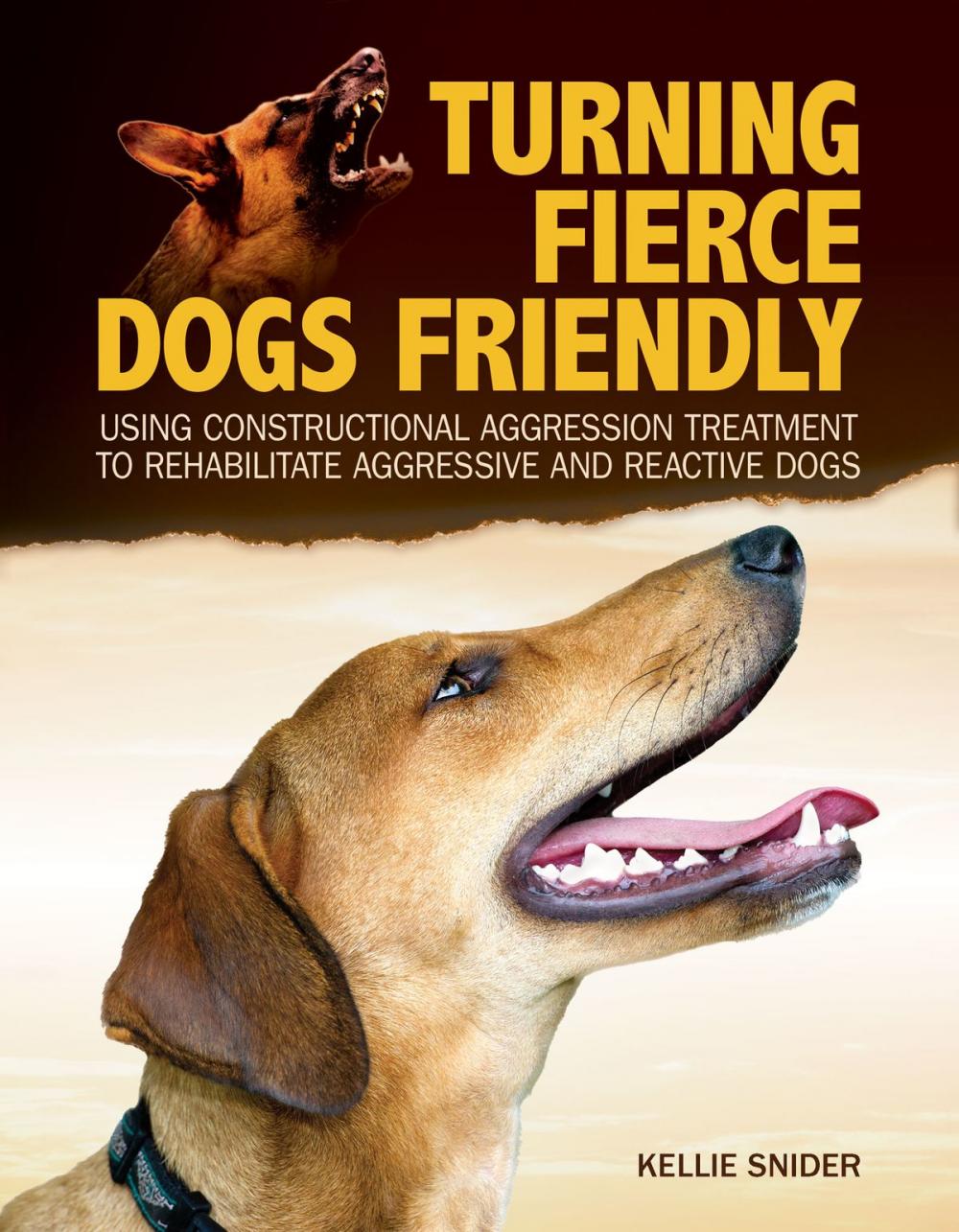 Big bigCover of Turning Fierce Dogs Friendly