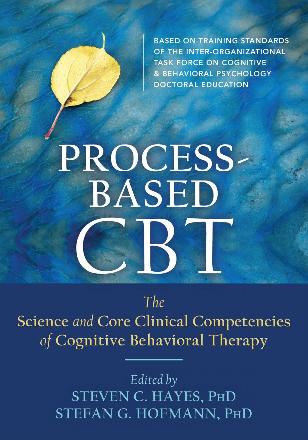 Big bigCover of Process-Based CBT