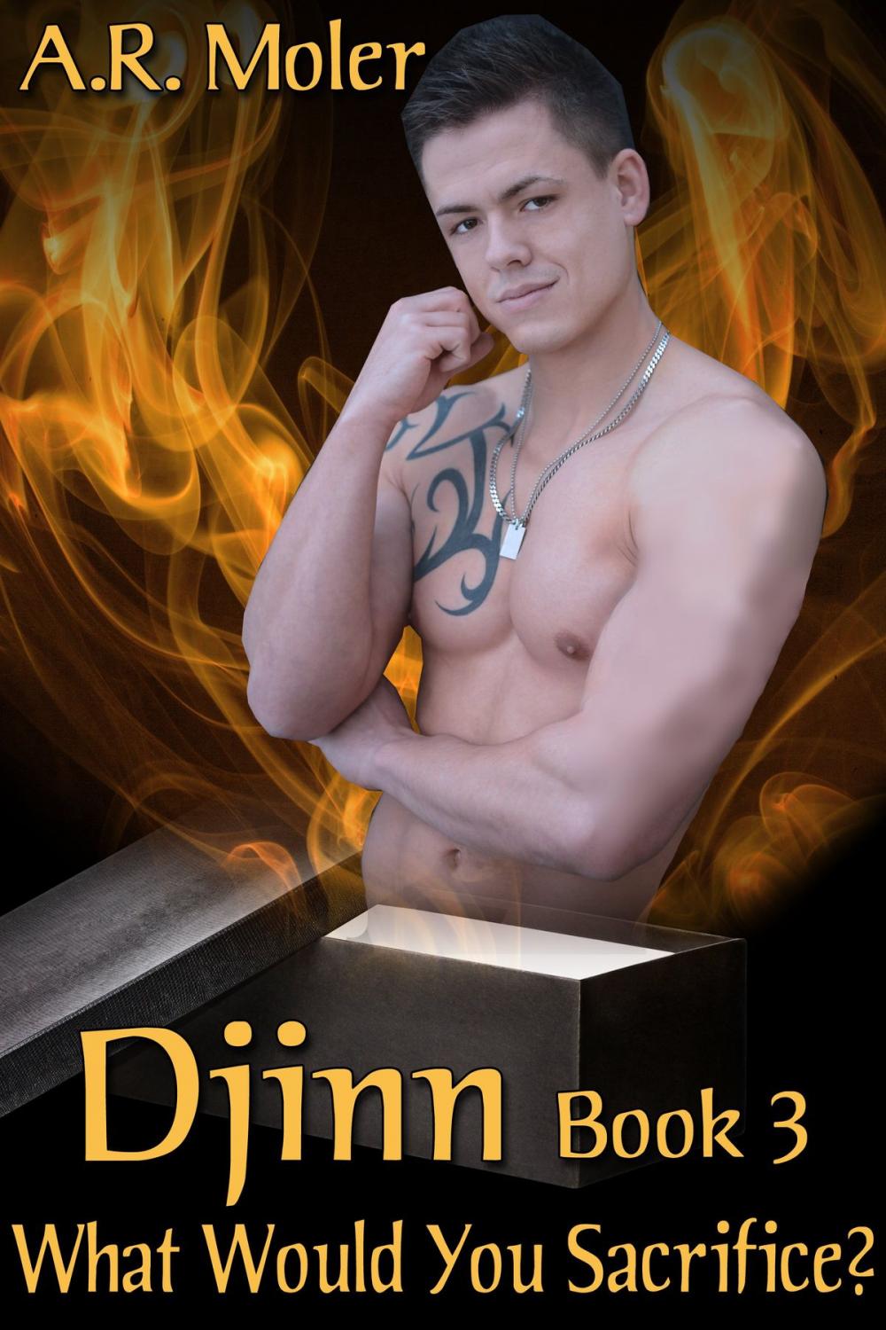 Big bigCover of Djinn 3: What Would You Sacrifice?