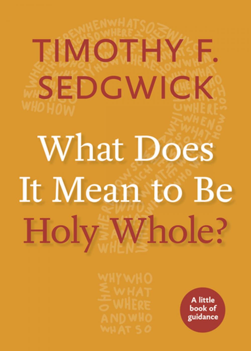 Big bigCover of What Does It Mean to Be Holy Whole?