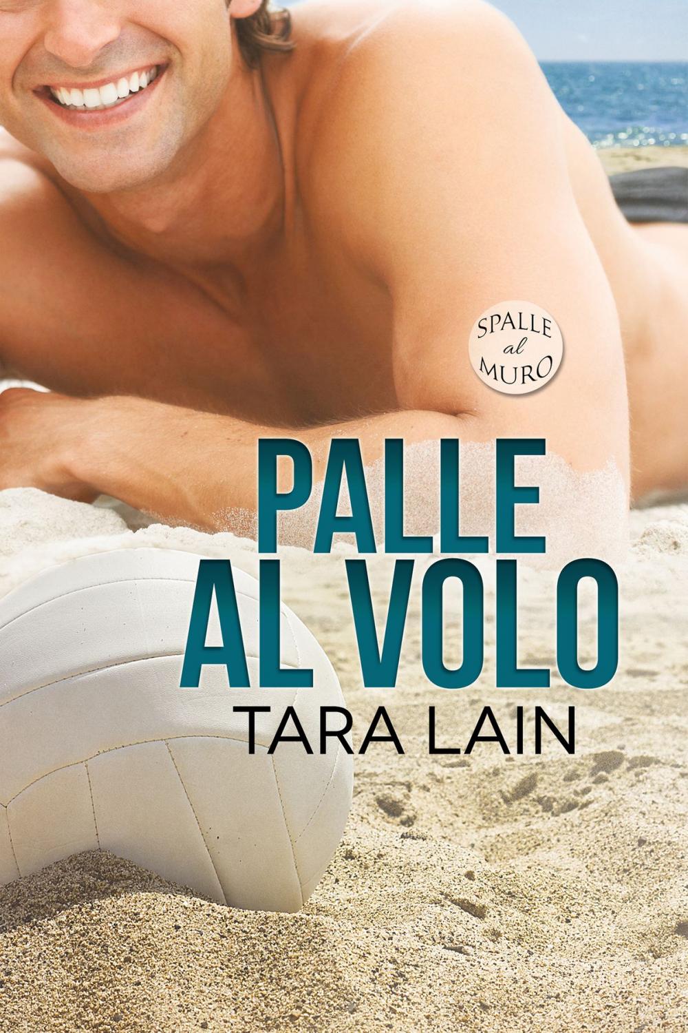 Big bigCover of Palle al volo