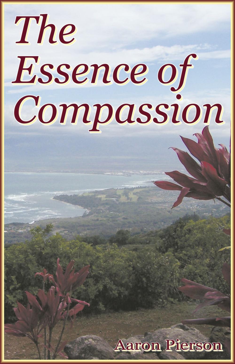 Big bigCover of The Essence of Compassion