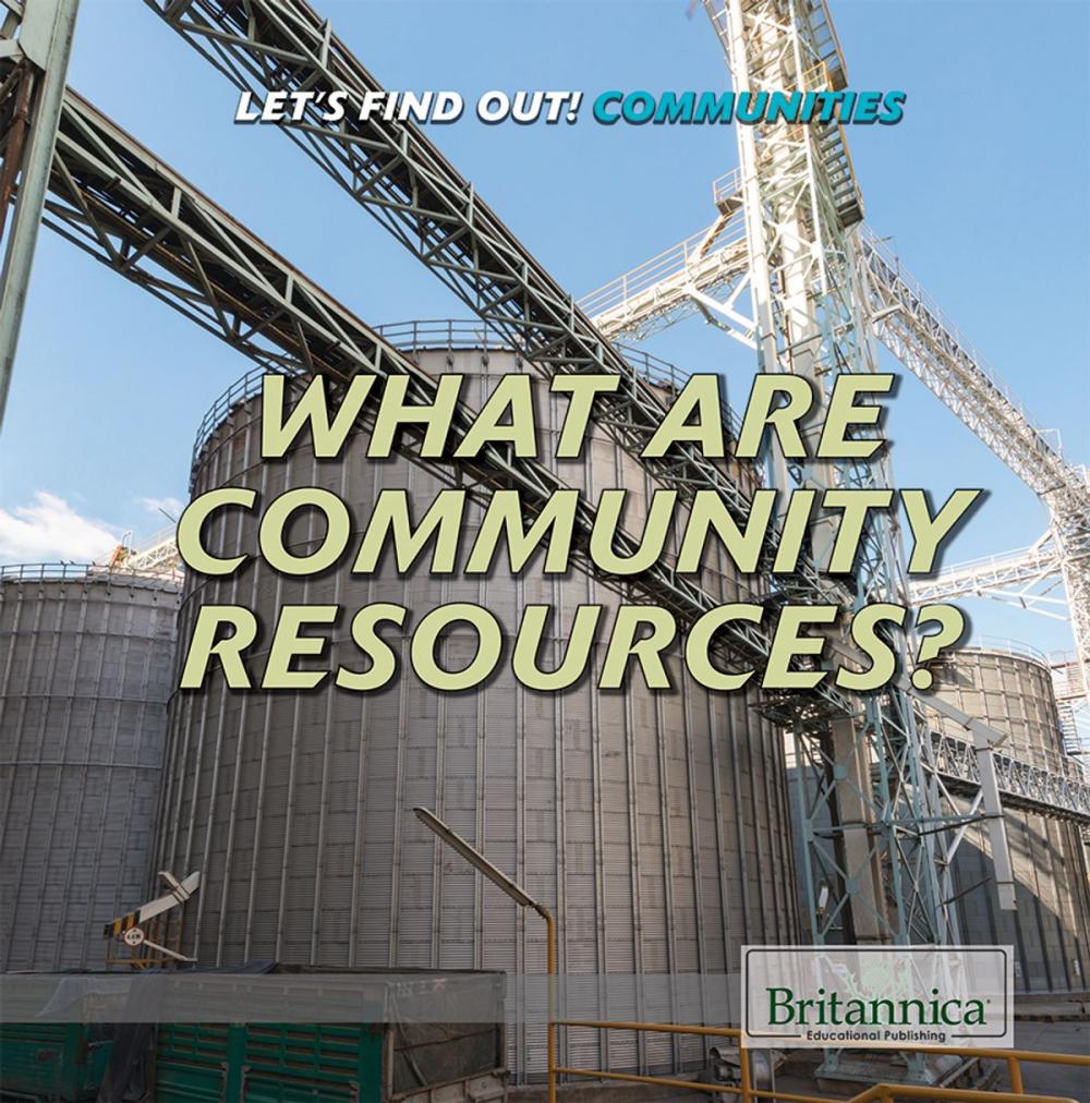 Big bigCover of What Are Community Resources?