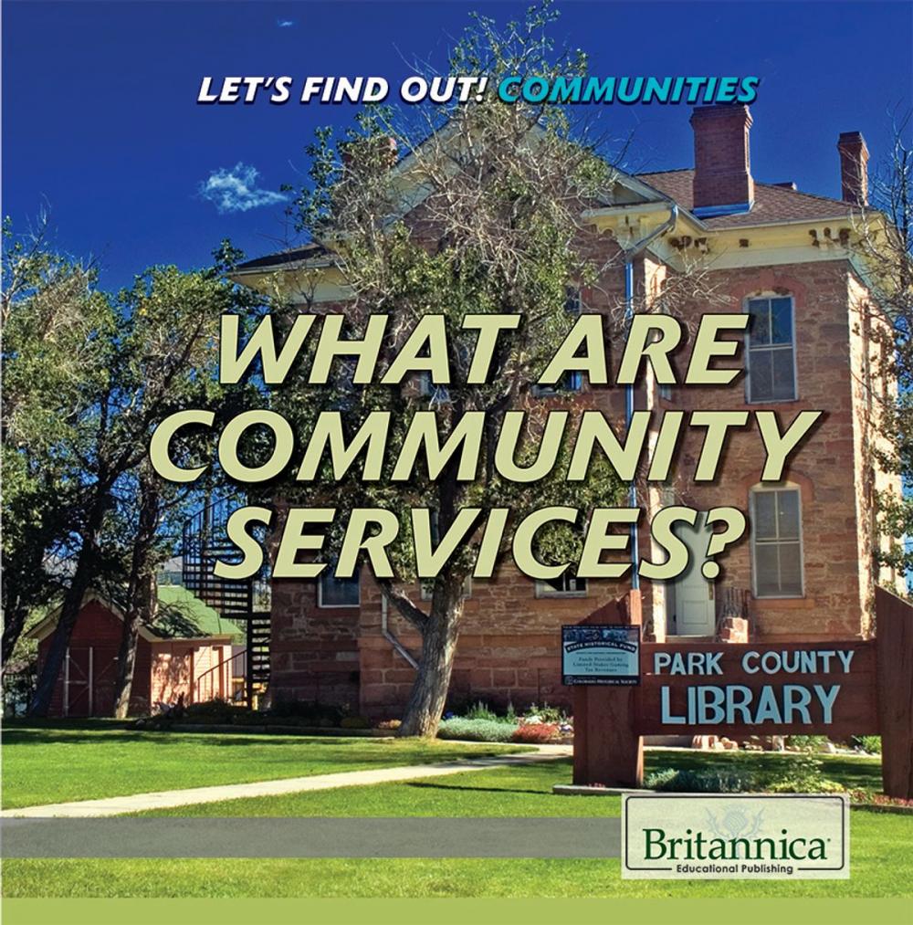 Big bigCover of What Are Community Services?