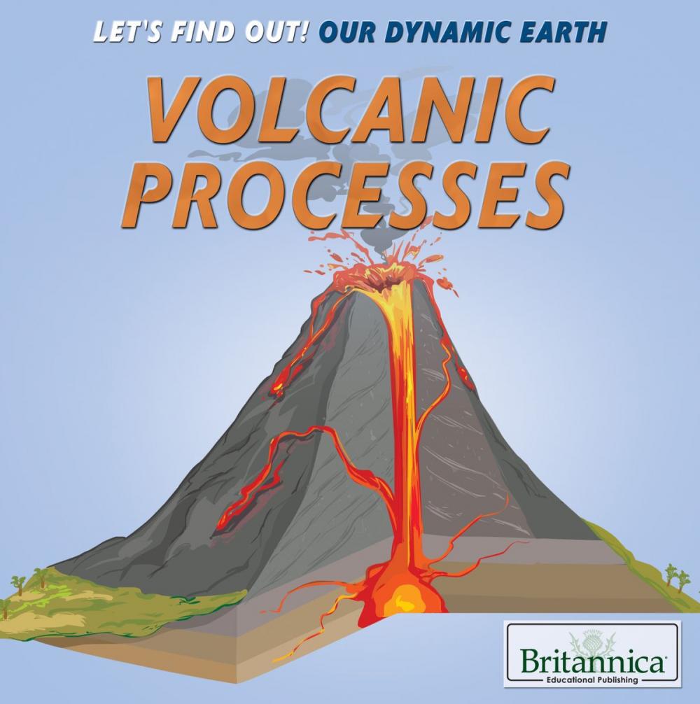 Big bigCover of Volcanic Processes