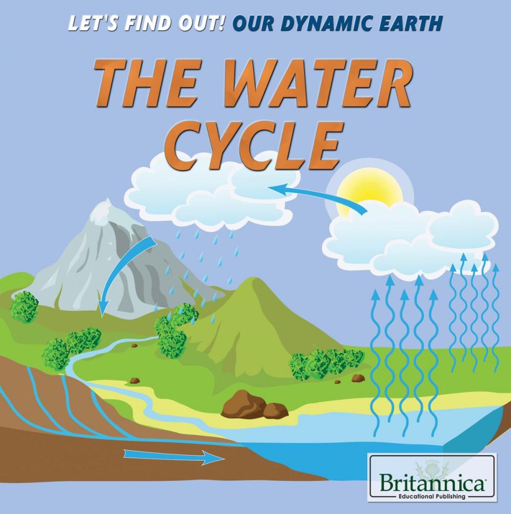 Big bigCover of The Water Cycle