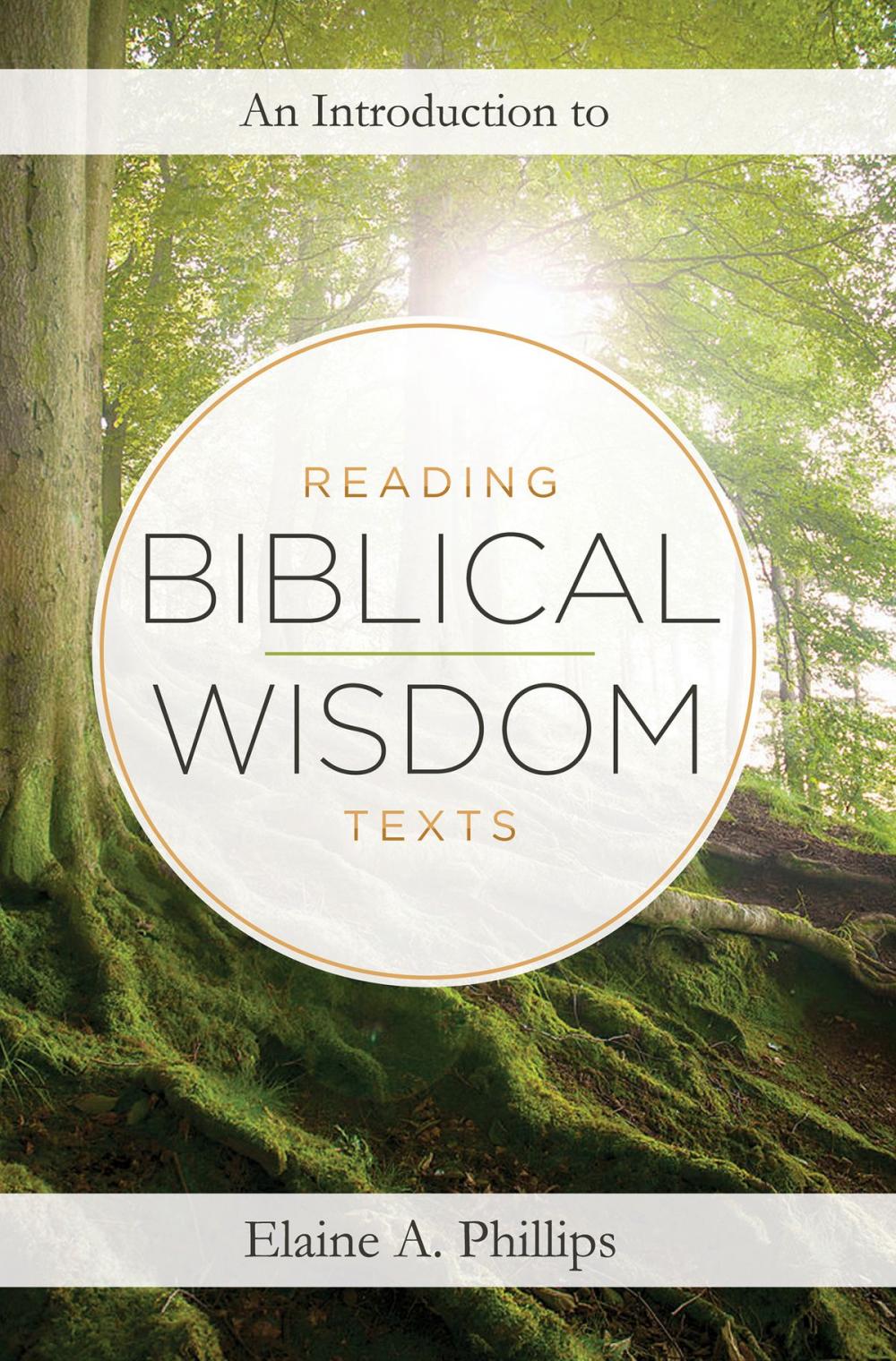 Big bigCover of An Introduction to Reading Biblical Wisdom Texts