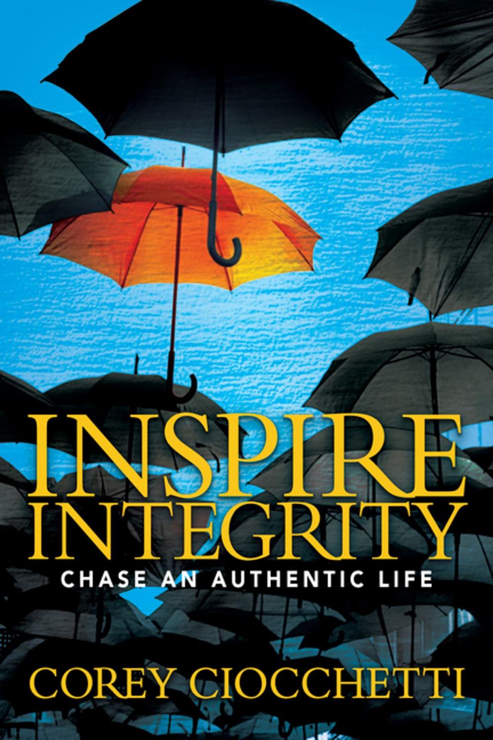 Big bigCover of Inspire Integrity