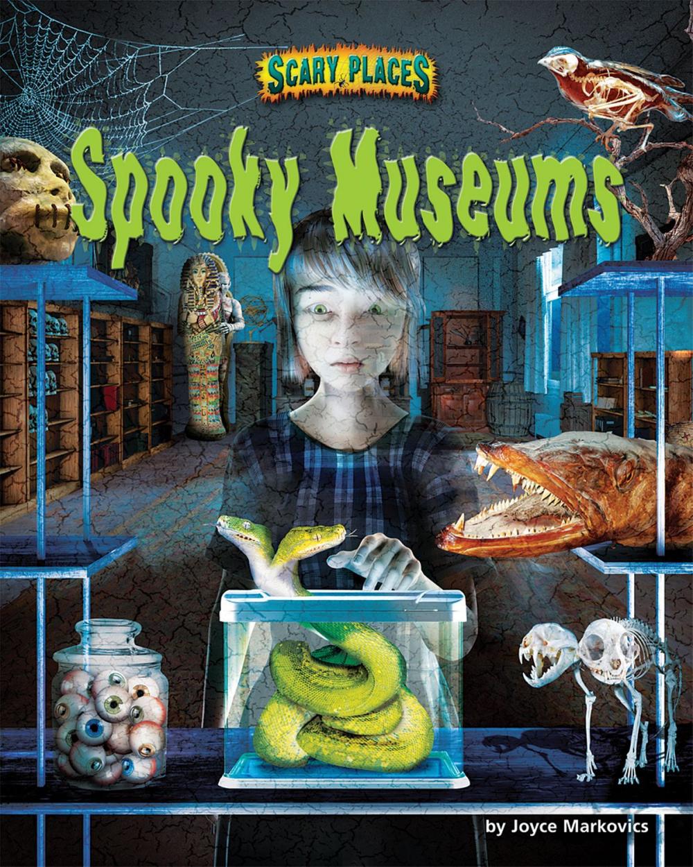 Big bigCover of Spooky Museums