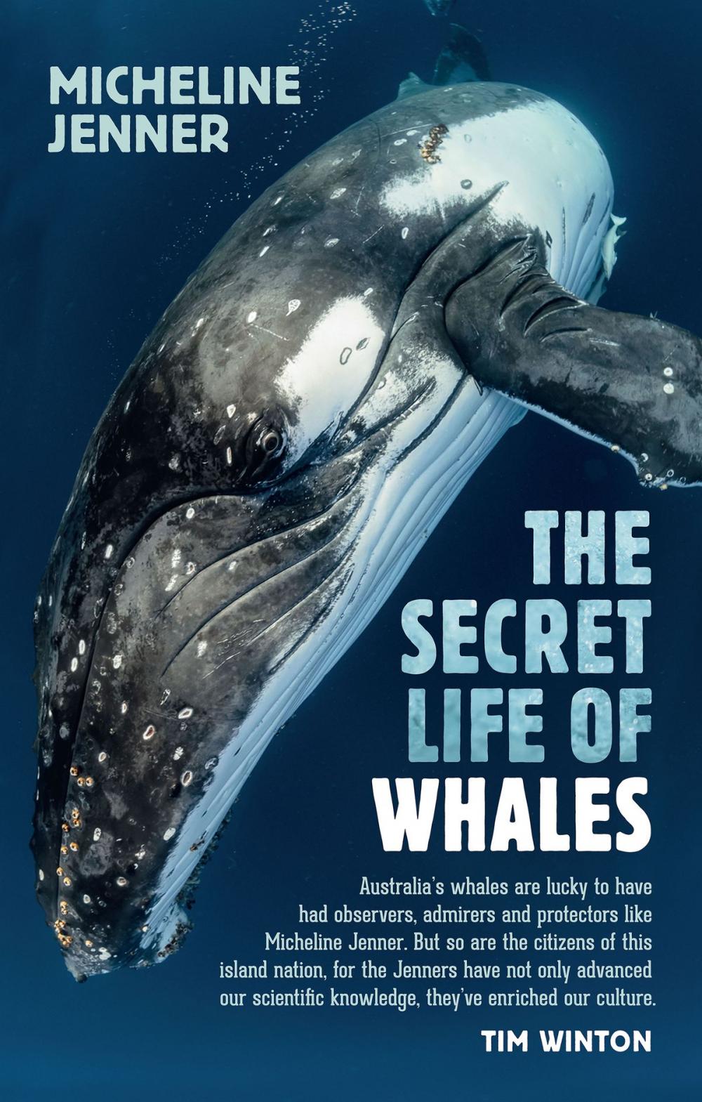 Big bigCover of The Secret Life of Whales