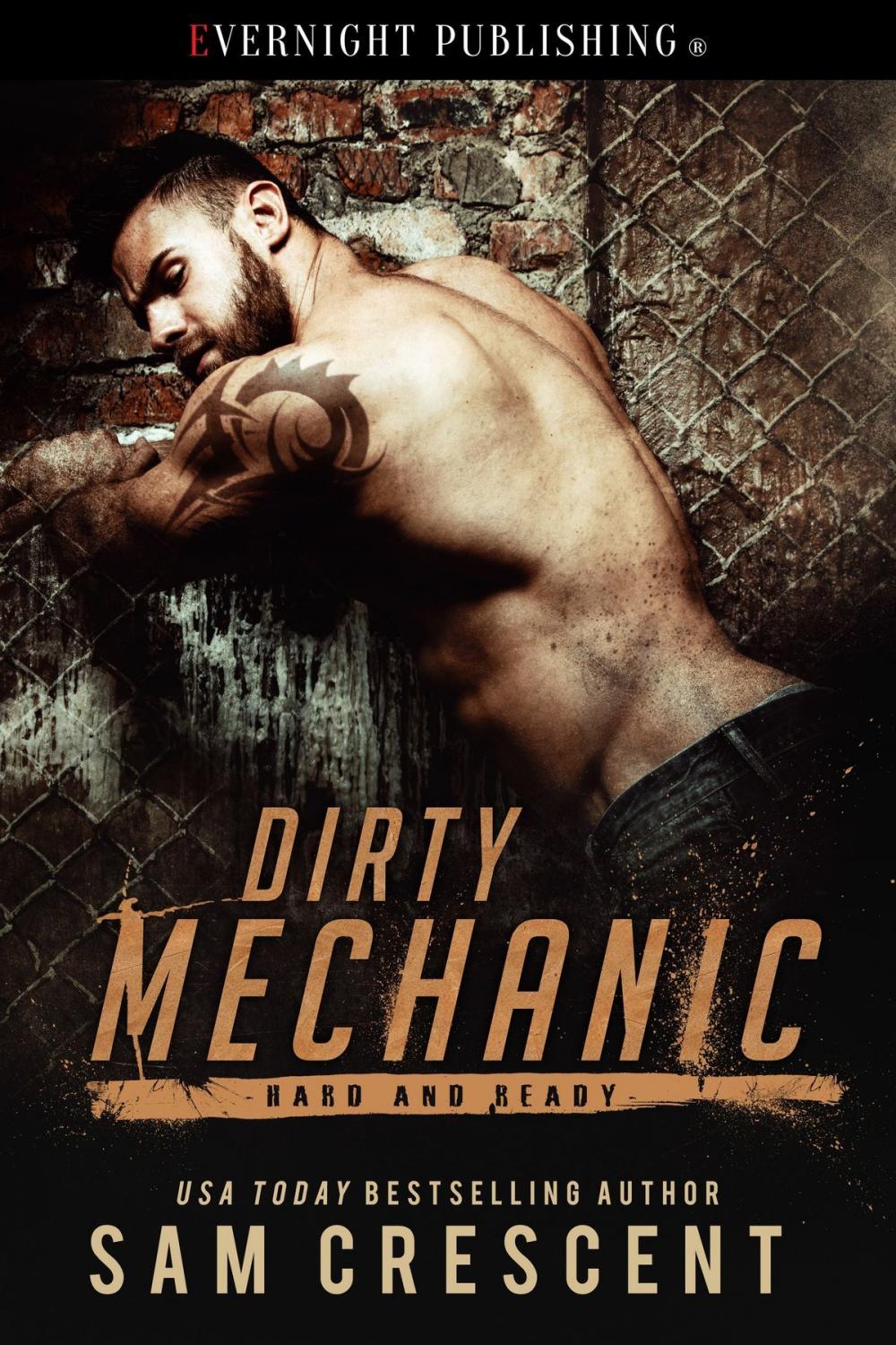 Big bigCover of Dirty Mechanic