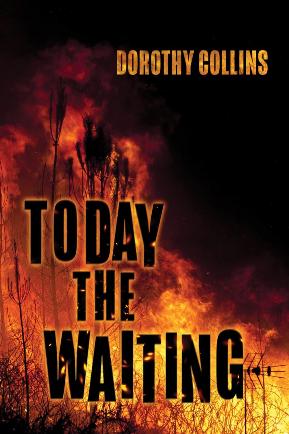 Big bigCover of Today The Waiting