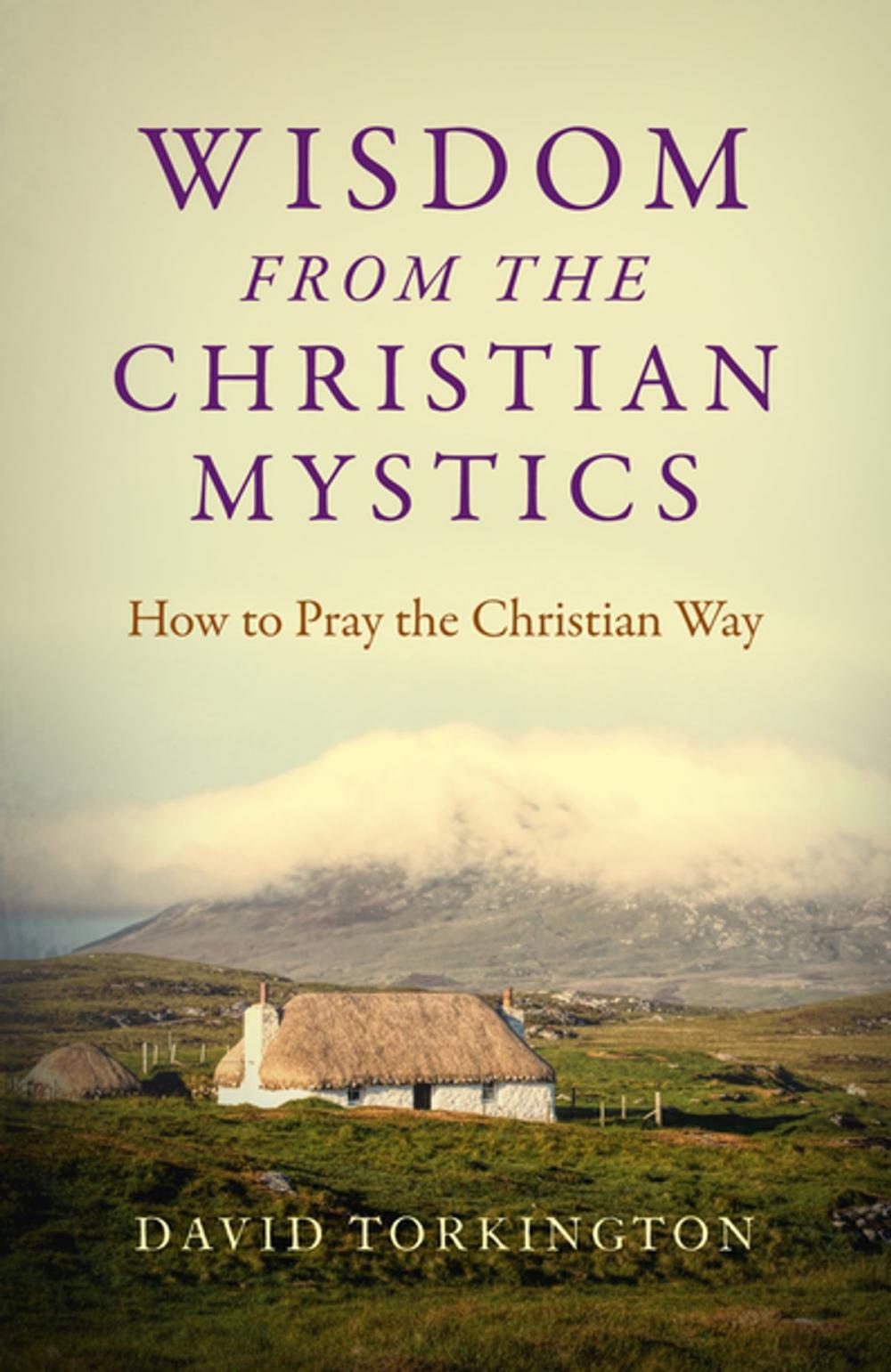 Big bigCover of Wisdom from the Christian Mystics: How to Pray the Christian Way