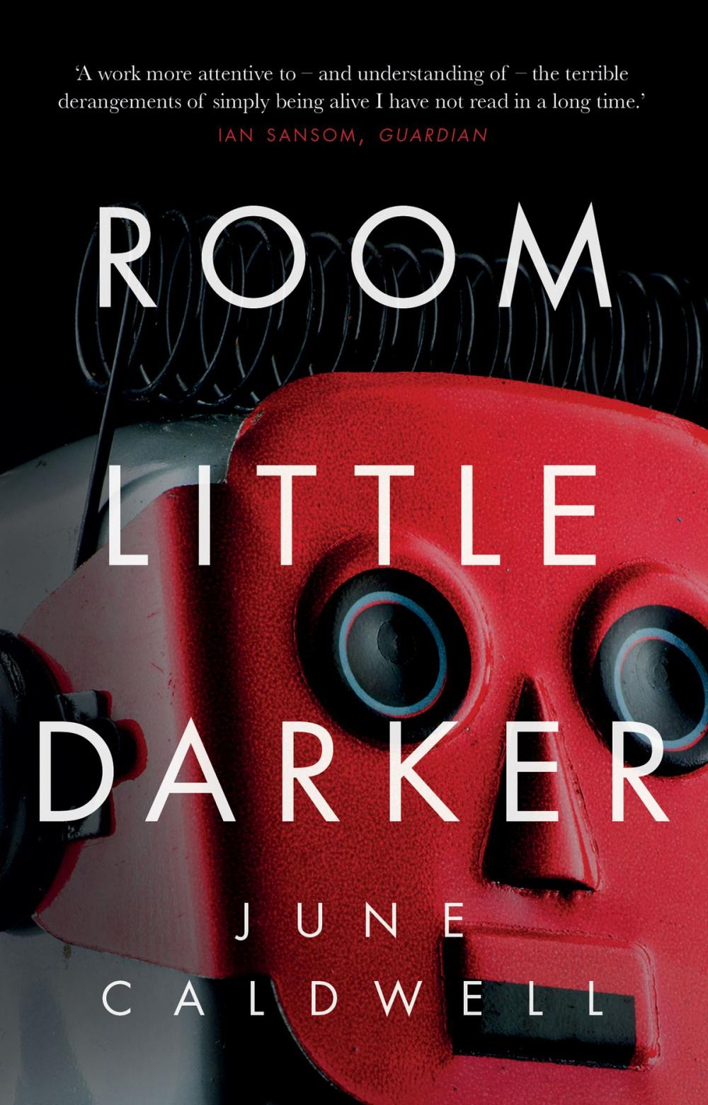 Big bigCover of Room Little Darker