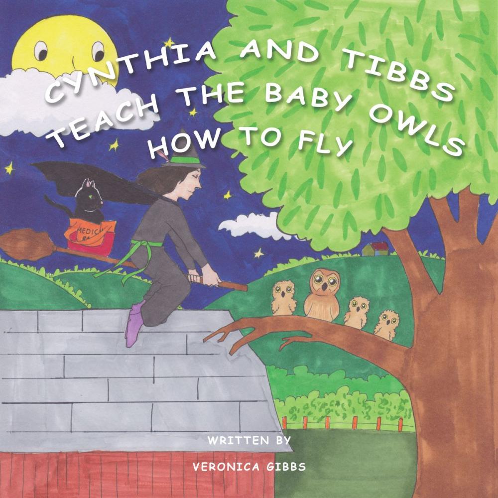 Big bigCover of Cynthia and Tibbs Teach the Baby Owls How to Fly