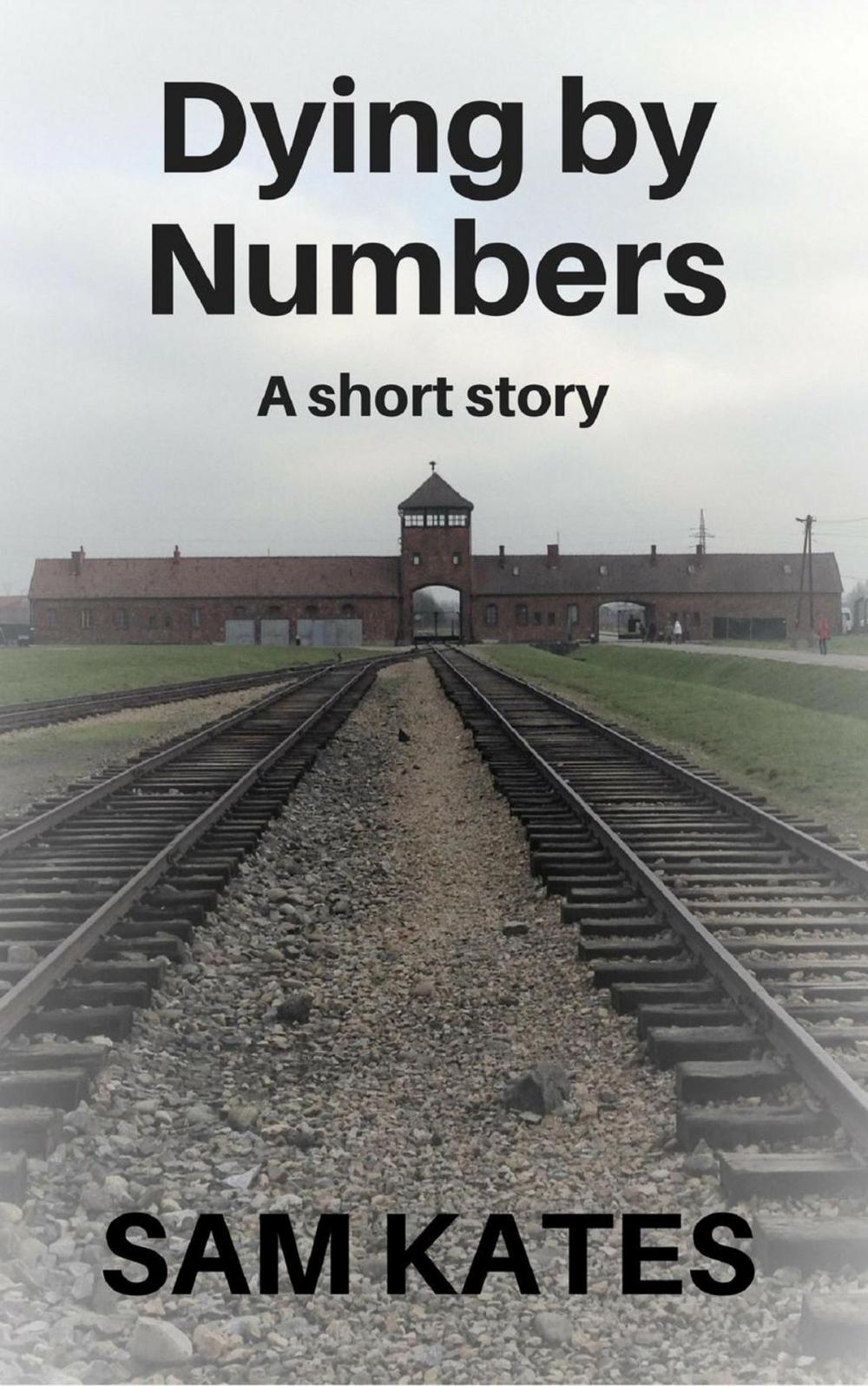 Big bigCover of Dying By Numbers: A short story