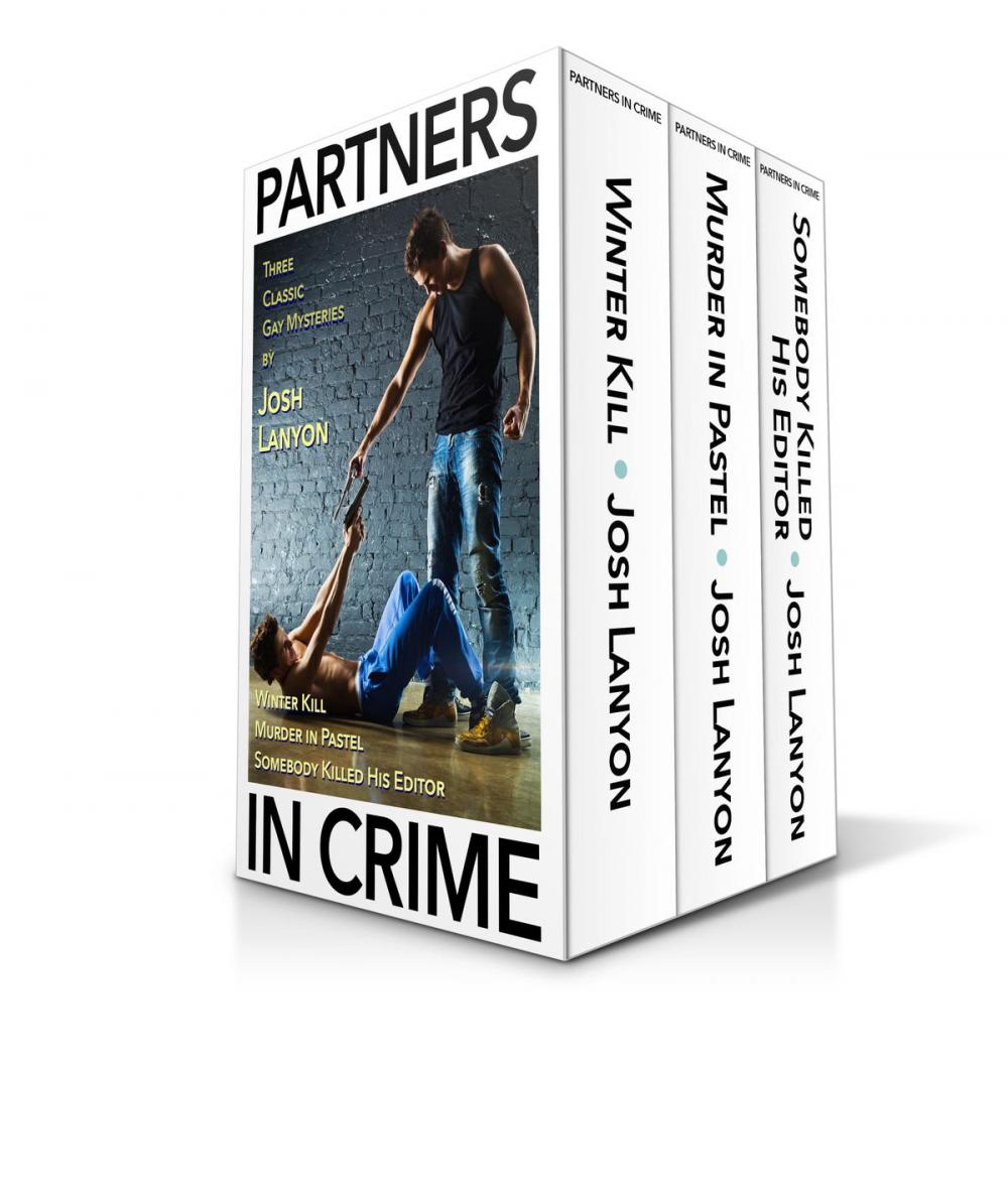 Big bigCover of Partners in Crime Box Set