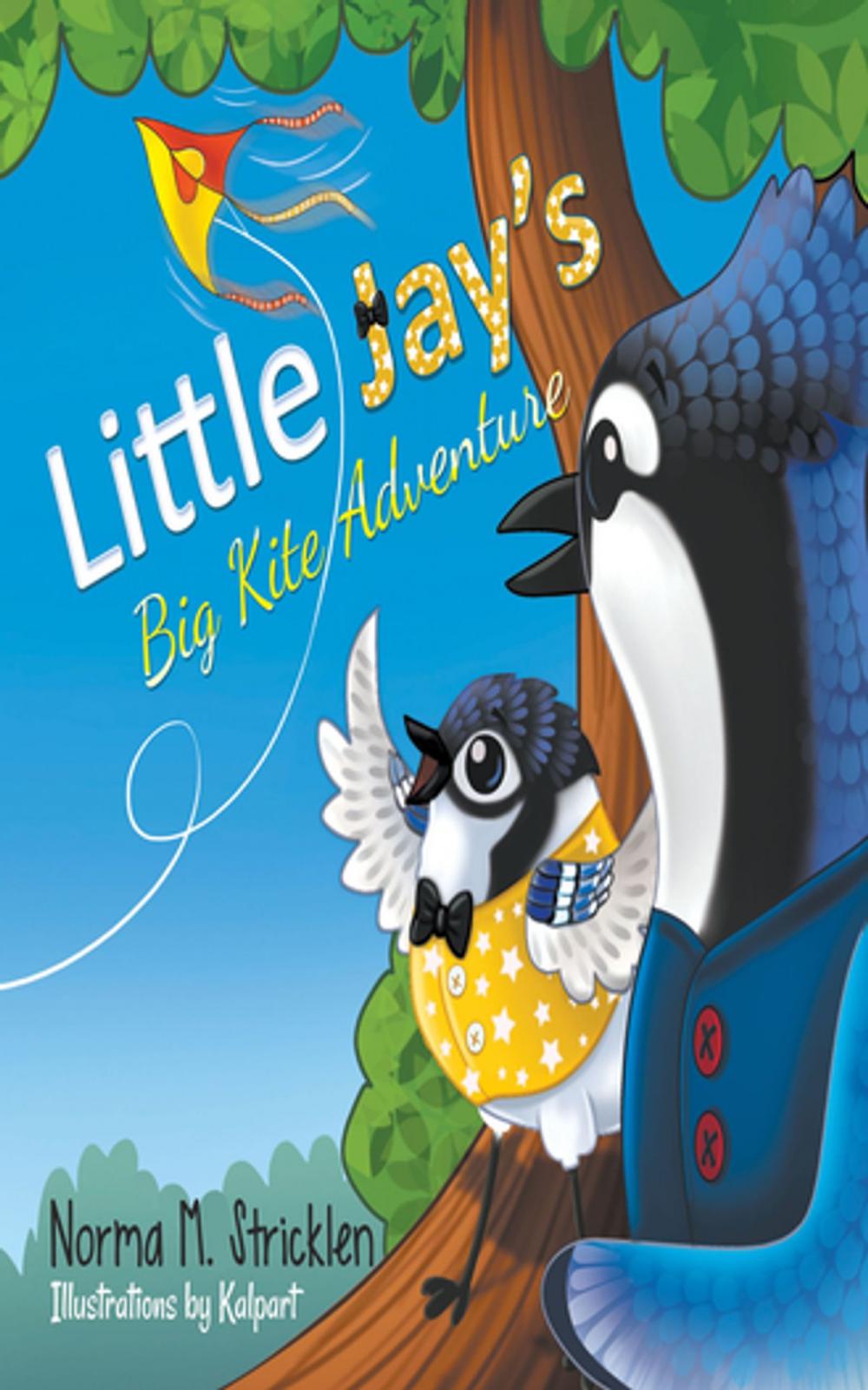 Big bigCover of Little Jay's Big Kite Adventure